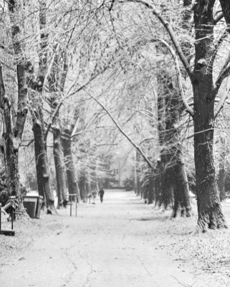 Lebenszeichen von Station 19